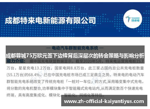 成都蓉城75万欧元签下边锋背后深层次的转会策略与影响分析