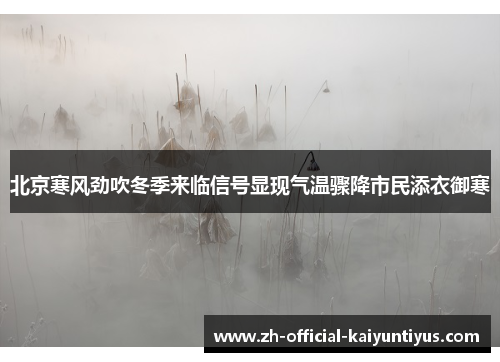 北京寒风劲吹冬季来临信号显现气温骤降市民添衣御寒