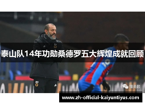 泰山队14年功勋桑德罗五大辉煌成就回顾