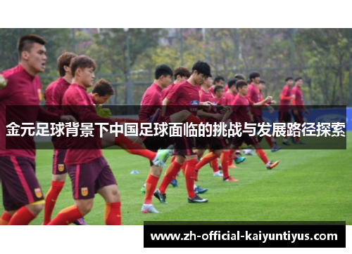 金元足球背景下中国足球面临的挑战与发展路径探索