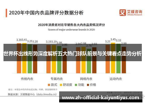 世界杯出线形势深度解析五大热门球队前景与关键看点走势分析