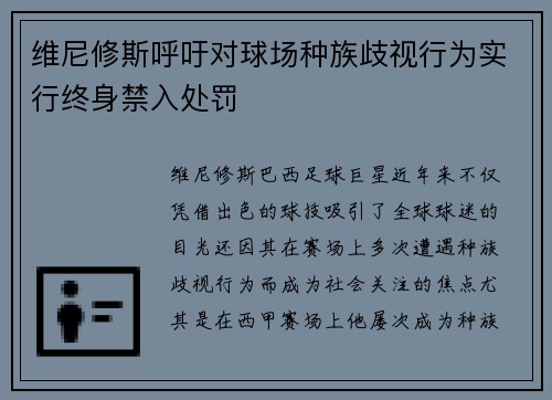 维尼修斯呼吁对球场种族歧视行为实行终身禁入处罚