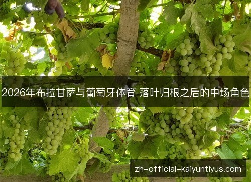 2026年布拉甘萨与葡萄牙体育 落叶归根之后的中场角色